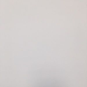 Meet your Posher, Lee